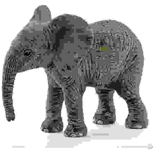 Slon Afriški