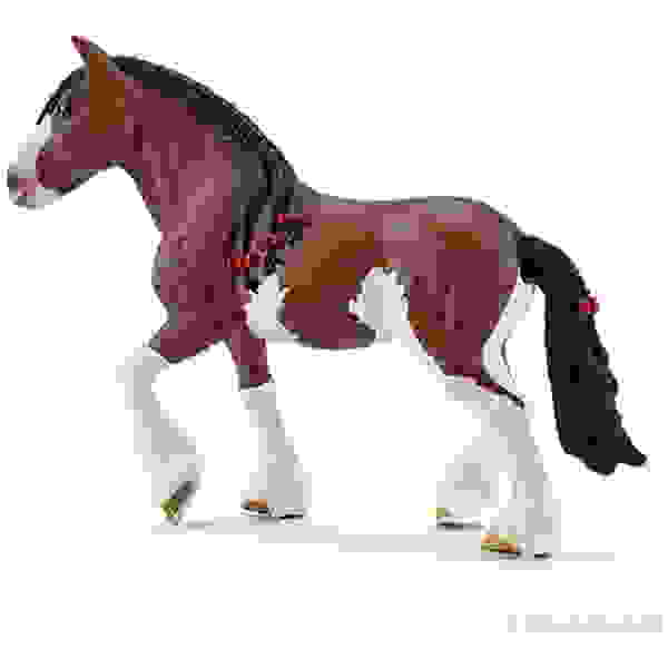 Konj Clydesdale Stute 16