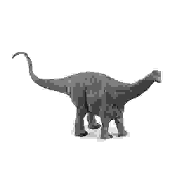 Dinozaver Brontosaurus 32