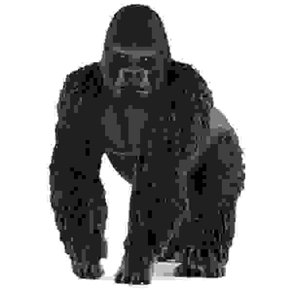 Gorila samec 5