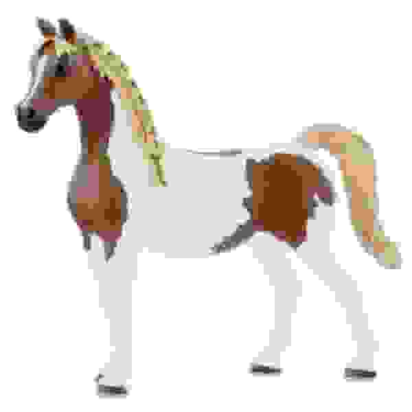 Konj Pintabian žrebec EOL