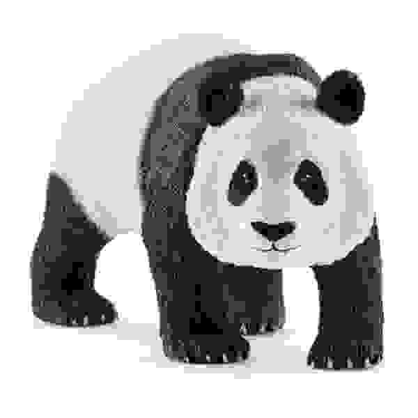 Panda večja samica 9