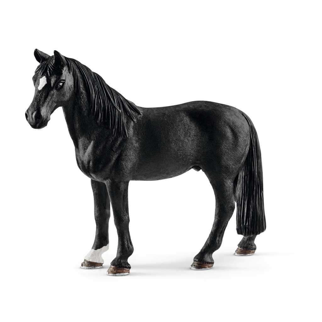 Konj Pinto 12