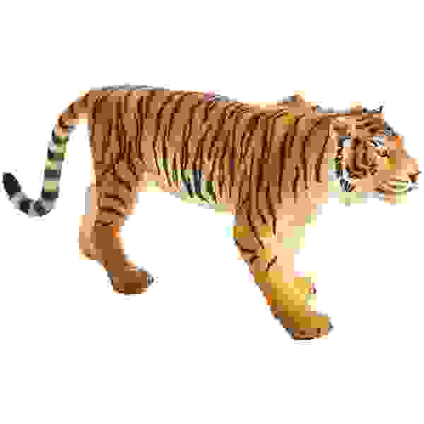 Bengalski tiger XL
