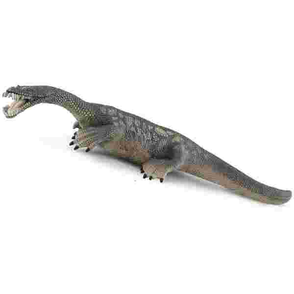 Nothosaurus 21