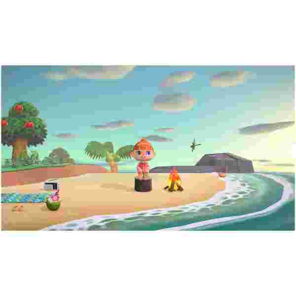 Animal-Crossing-New-Horizons-Switch-1