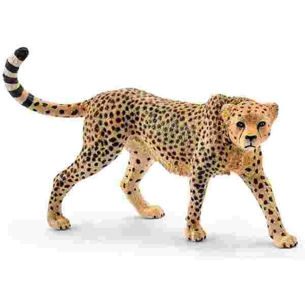 Gepard