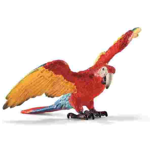 Macaw 8