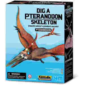 Dinozaver Pteranodon