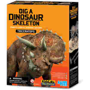 Dinozaver Triceratops