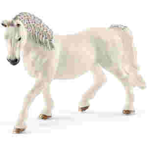 Lipicanec kobila 14