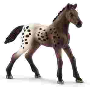 Žrebiček Appaloosa 9
