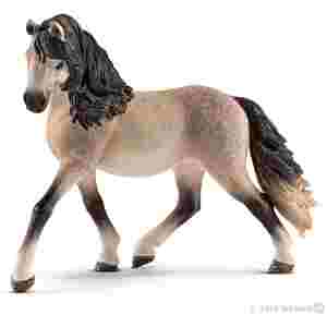 Kobila Andaluzijska 12